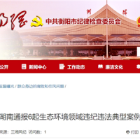 超時(shí)、超量、越界采砂！湖南通報(bào)6起生態(tài)環(huán)境領(lǐng)域違紀(jì)違法典型案例 2起與砂石有關(guān)！